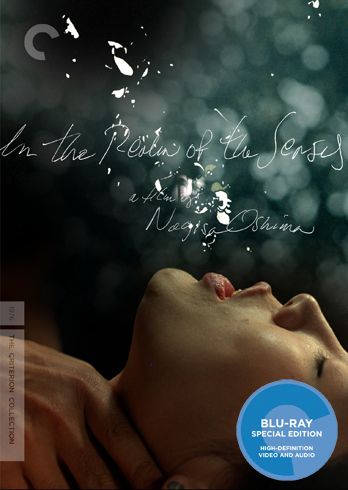 In the Realm of the Senses movie image.jpg